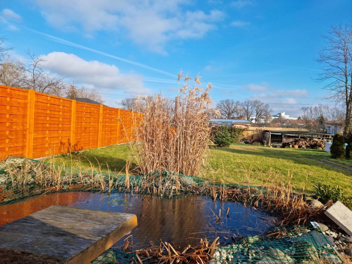 Liebevoll Eingerichtetes Haus Mit Grossem Garten In Dresden - Telefonnummer Und Video Unter Www Fhvn De Екстер'єр фото